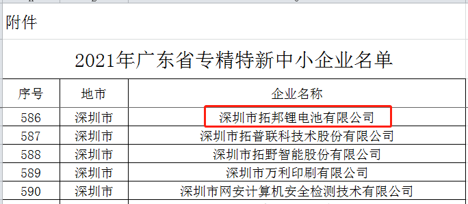 8188cc威尼斯锂电获奖.png
